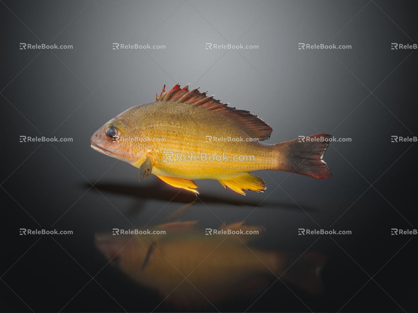 Modern Fish Marine Fish Yellow Flower Fish Food Fish Tropical Fish Ornamental Fish Marine Life 3d model