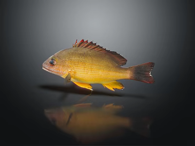 Modern Fish Marine Fish Yellow Flower Fish Food Fish Tropical Fish Ornamental Fish Marine Life 3d model