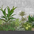 Lush Plant Combination With Tropical Green Foliage Flowering Plants Stone Wall And Pathway