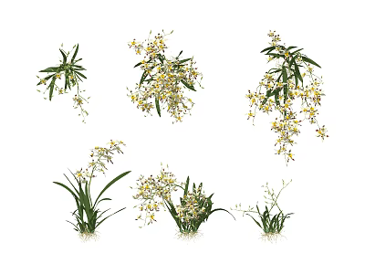 Beautiful Yellow Orchid Flowers With Green Leaves In Clustered Hanging Design 3d model