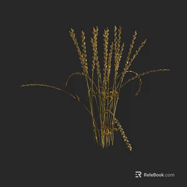 Elegant Golden Dried Grass Stems With Natural Texture On Black Background 3d model 