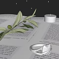 Elegant Silver Ring with Sparkling Gemstones on Book Pages Under Warm Light and Green Leaves