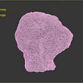 Natural Coral Marine Animal With Honeycomb Structure And Stone Like Texture