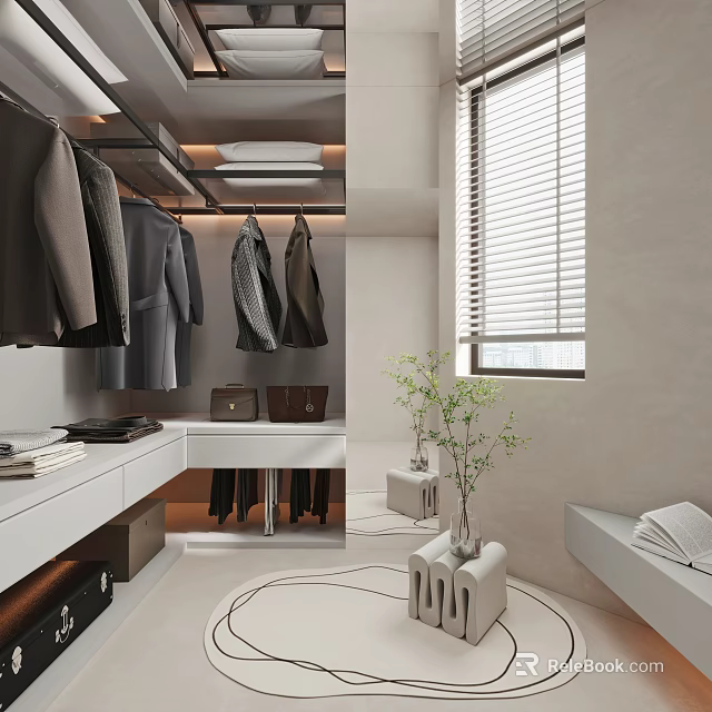 Modern Minimalist Walk in Closet Interior With Suits Bags Plants And Windows 3d model 