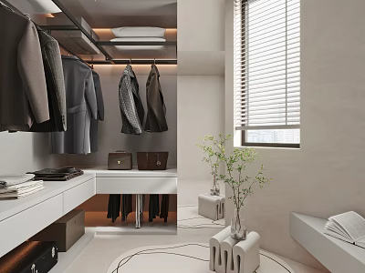 Modern Minimalist Walk in Closet Interior With Suits Bags Plants And Windows 3d model