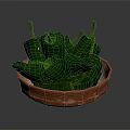 Fresh Ripe Green Bell Peppers with Stems in Rustic Brown Ceramic Bowl