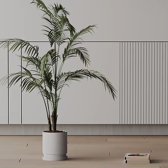 Modern Potted Plant 3d model