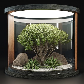 Modern Glass Plant Indoor Plants Landscape Tree 3d model