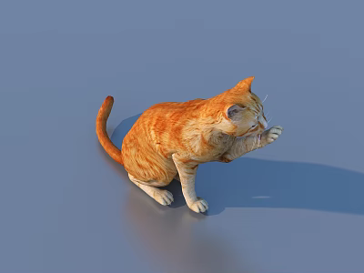 Vibrant Orange Reptile Lizard Resting On Blue Smooth Surface Background 3d model