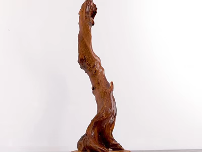 Natural Wooden Ornament Decoration Set With Root Shaped Curved Design For Home Decor 3d model