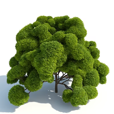 Modern Shrubs Garden Shrubs 3d model