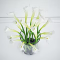 White Calla Lilies In Transparent Vase With Green Stems Against White Wall