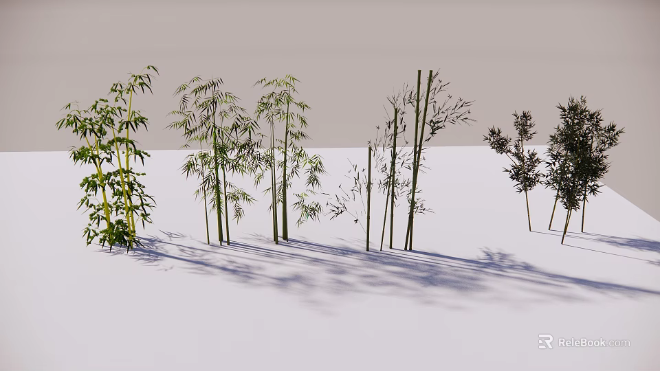 Various Bamboo Plants With Different Heights And Green Leaves In Natural Scene 3d model 
