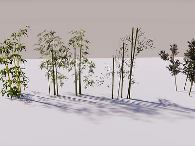 Various Bamboo Plants With Different Heights And Green Leaves In Natural Scene 3d model