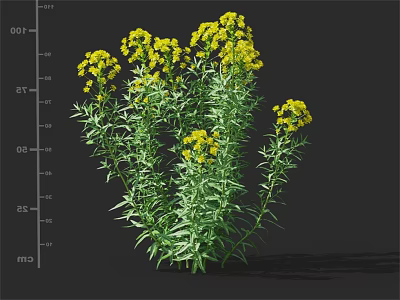 Vibrant Yellow Flowers with Green Leaves and Lush Foliage Growth 3d model