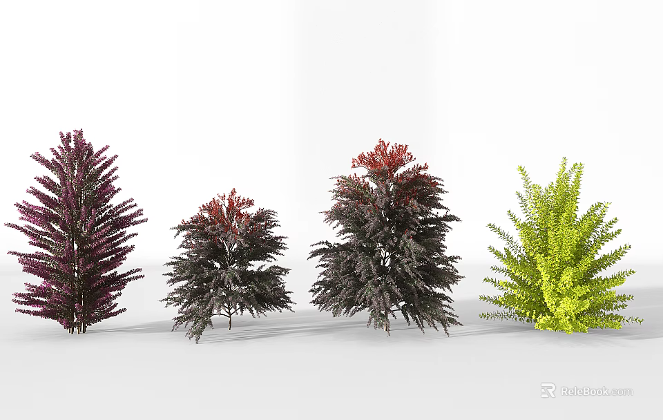Different Colored Arbor Trees Featuring Purple Red Dark Purple and Green Foliage 3d model 