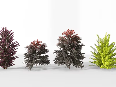Different Colored Arbor Trees Featuring Purple Red Dark Purple and Green Foliage 3d model