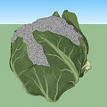 Fresh Cauliflower Heads With Green Leaves And White Florets On White Background