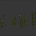 Decorative Green Leafy Plant Branches With Various Shapes For Scenic Design
