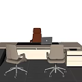Modern Office Desk with Laptop Black Mat Two Gray Chairs Brown Chair and Green Plant