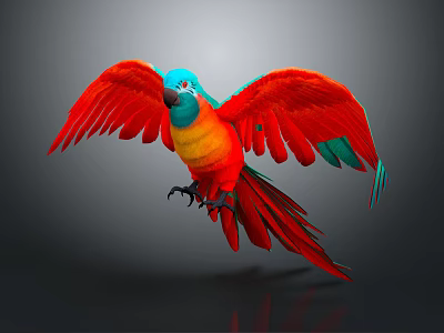 Vibrant Parrot with Red Wings Blue Head and Orange Belly in Flight Against Gray Background 3d model