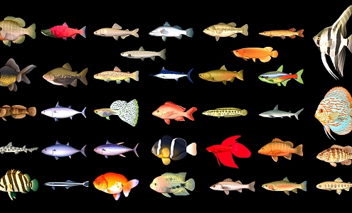 marine aquarium fish 3d model