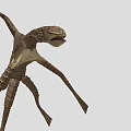 Realistic 3D Model Of Pterosaur With Long Wings Slender Body And Long Tail Flying