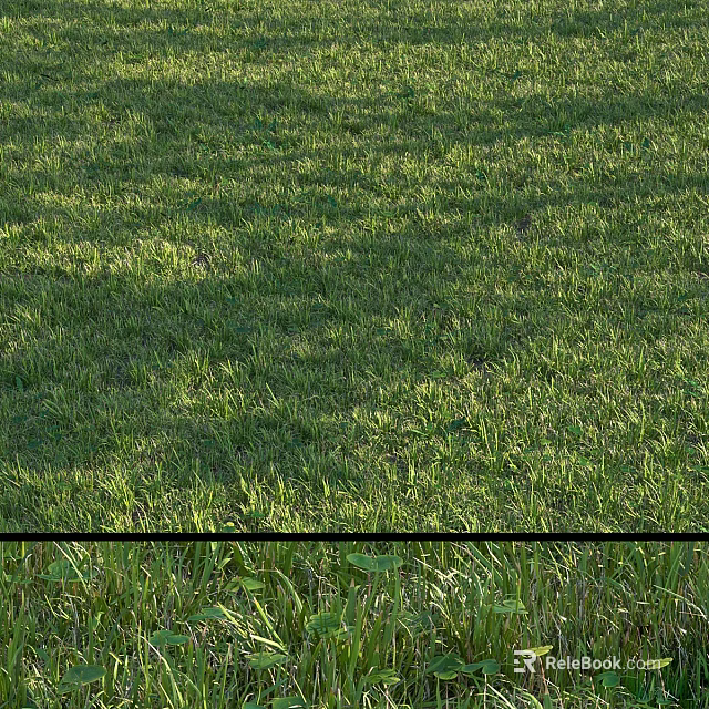 Lush Green Grass Field With Fresh Blades Under Sunlight Natural View 3d model 