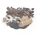 Diverse Scene Components Collection With Stones Plants Tent And Rock Structures