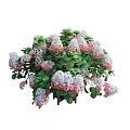Potted Bonsai Plant with Pink And White Flowers And Lush Green Leaves On Wooden Stand