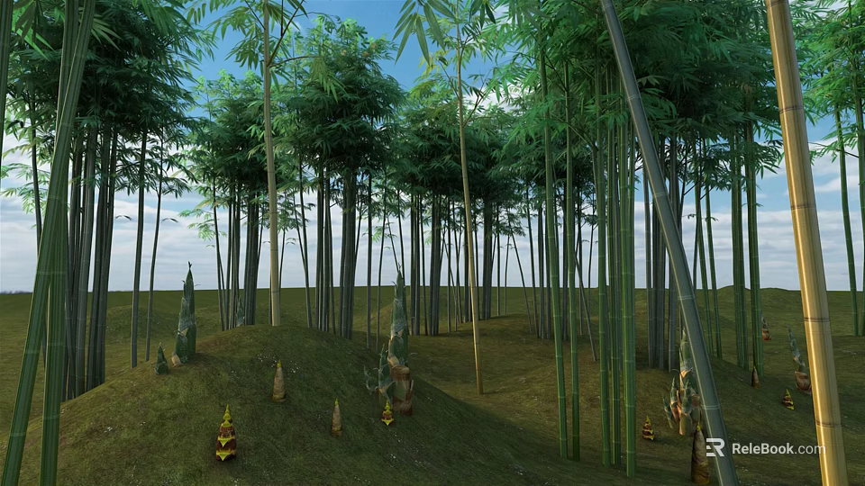Tall Bamboo Forest With Green Shoots And Open Sky Over Grassland 3d model 