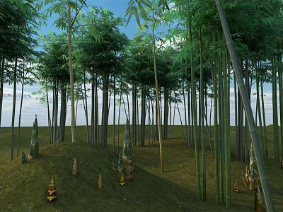 Tall Bamboo Forest With Green Shoots And Open Sky Over Grassland 3d model
