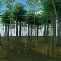 Tall Bamboo Forest With Green Shoots And Open Sky Over Grassland