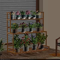 Indoor Multi Tiered Bamboo Plant Stand With Various Potted Flowering And Green Plants