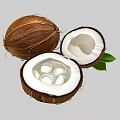 Fresh Coconut With Whole And Halved Sections White Meat Clear Water And Green Leaves