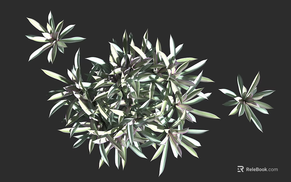 Lush Green Botanical Foliage With Vibrant Leaves And Decorative Plant Arrangement 3d model 