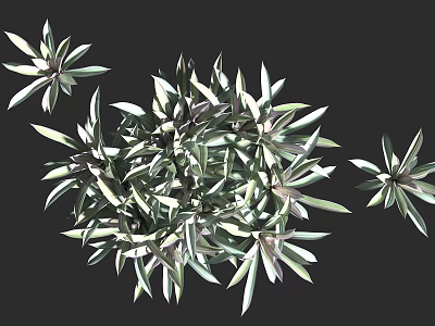 Lush Green Botanical Foliage With Vibrant Leaves And Decorative Plant Arrangement 3d model