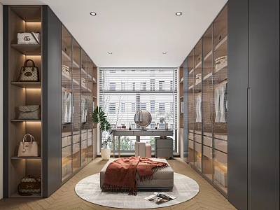 Modern Walk In Closet Interior With Cabinets Shelves Bench Rug And Window Blinds 3d model