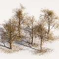 Autumn Trees with Few Leaves on Branches and Fallen Leaves Arranged on White Background