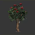 Potted Rose Plant With Red Roses Green Leaves Brown Trunk Pink Base On Gray Background