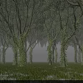 Misty Forest Landscape With Tall Trees Ivy Covered Trunks Grassy Ground And Distant Deer