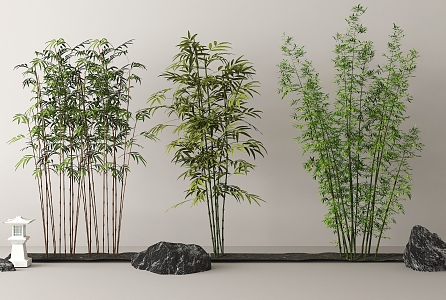 Bamboo Landscape Bamboo 3d model