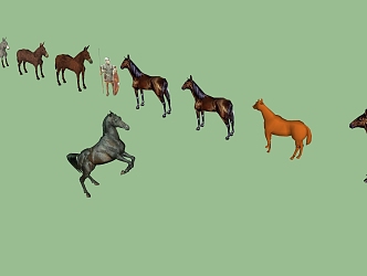 Animal Integration Horse 3d model