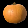 Single Ripe Fresh Orange Pumpkin Vegetable Isolated On Black Background