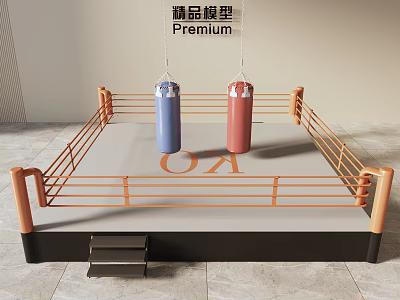 Playground Boxing Ring Equipment With Ropes Blue Red Punching Bags And OX Letters 3d model