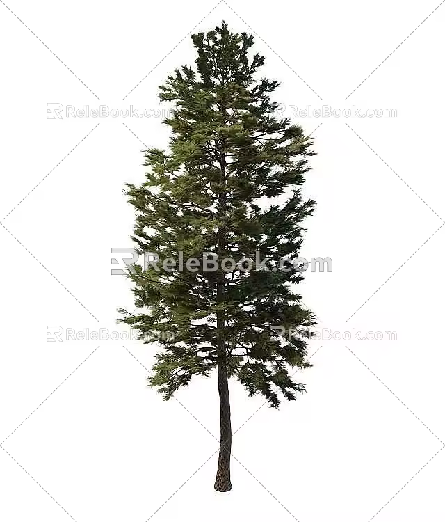 pine tree 3d model