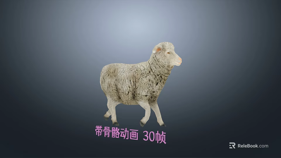 3D Sheep Model With Skeletal Animation At 30 Frames Per Second 3d model 