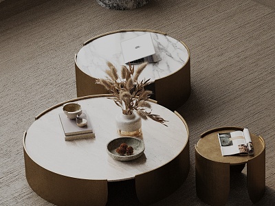 Modern coffee table model