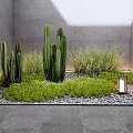 Modern Garden Accent With Cacti Green Grass Gravel And Lantern Against Gray Walls