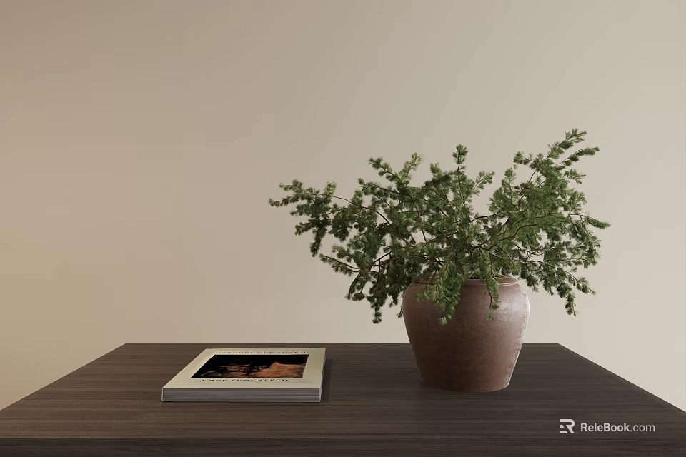 Vase with Green Plant on Dark Wooden Table and a Book against Light Colored Wall 3d model 